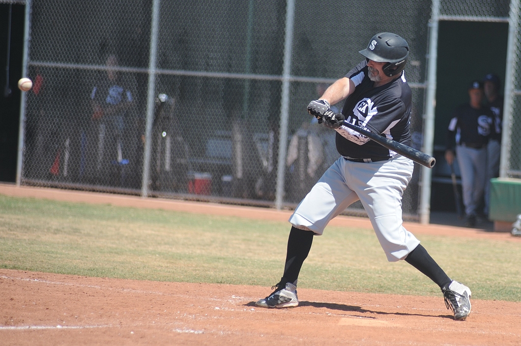 Seals_2019-08-25 (258).JPG - (c)2010 DeVetter